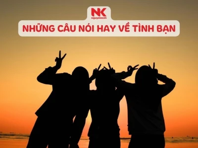 Những câu nói hay về tình bạn: Tri kỷ, chân thành và bền chặt