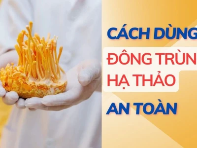 Tác hại của đông trùng hạ thảo: Những điều cần biết trước khi sử dụng
