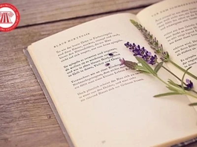 Tác hại của lối sống ích kỷ ảnh hưởng đến cá nhân và xã hội