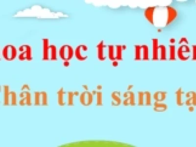 Tác hại của tiếng ồn đối với sức khỏe và cách phòng tránh hiệu quả