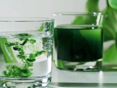 Tác hại tiềm ẩn của diệp lục cần biết