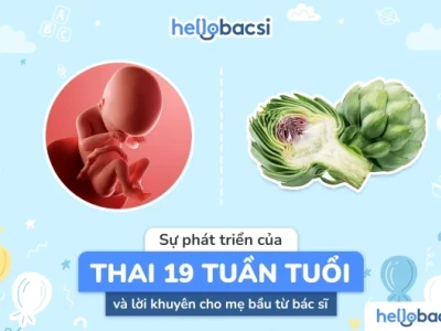 Thai 19 Tuần Phát Triển Như Thế Nào? Những Thay Đổi Đáng Chú Ý