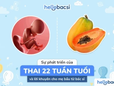 Thai 22 Tuần Phát Triển Như Thế Nào? Những Thay Đổi Quan Trọng Cần Biết