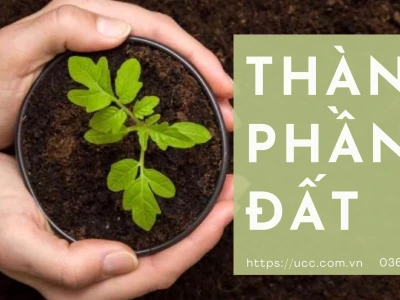 Thành phần cơ giới của đất là gì? Phân tích chi tiết và vai trò