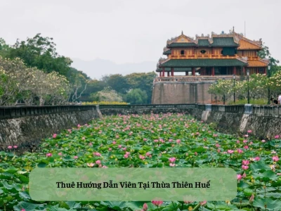 Thuê Hướng Dẫn Viên Du Lịch Huế: Bí Quyết Khám Phá Cố Đô Trọn Vẹn