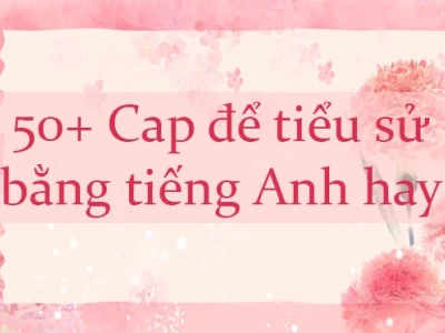 Tiểu Sử Tiếng Anh Hay Ngắn: Tạo Ấn Tượng Chuyên Nghiệp 2026
