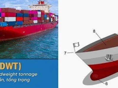 Tìm Hiểu Đơn Vị DWT: Ý Nghĩa và Ứng Dụng Trong Logistics