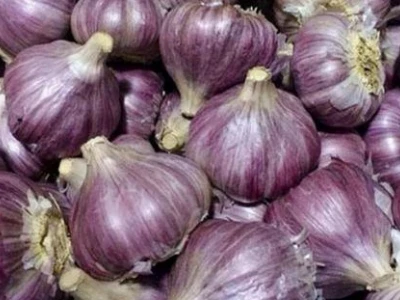 Tỏi Ngâm Giấm Chữa Bệnh: Công Thức Chuẩn, Lưu Ý Quan Trọng