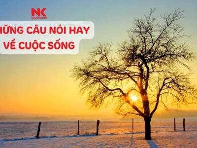 Tổng hợp những câu nói hay về cuộc sống ý nghĩa và truyền cảm hứng