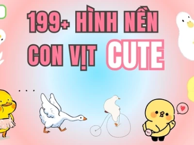 Tuyển tập avatar con vịt cute độc đáo cho năm 2026