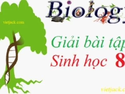 Vì sao nhu cầu dinh dưỡng khác nhau tùy người?