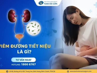 Viêm đường tiết niệu: Nguyên nhân, triệu chứng và cách điều trị hiệu quả