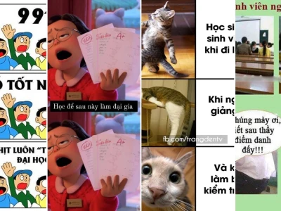 99+ meme hài hước về cuộc sống sinh viên bựa nhất năm 2026