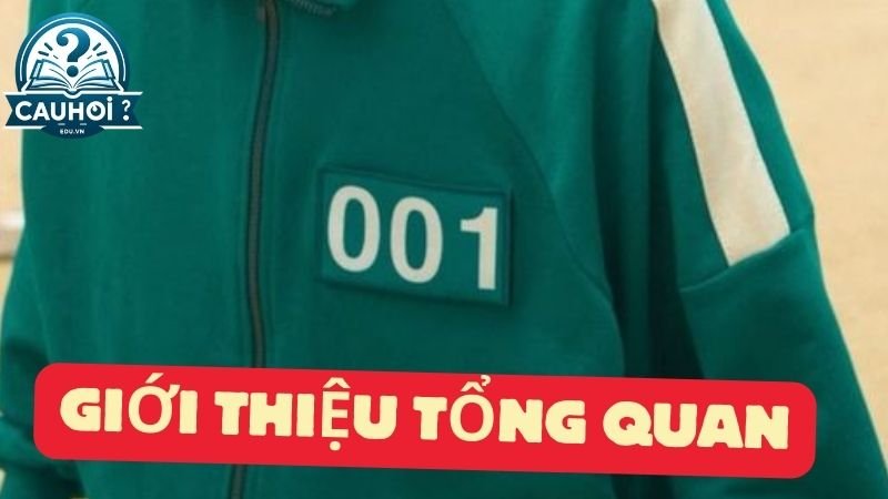 Giới thiệu tổng quan