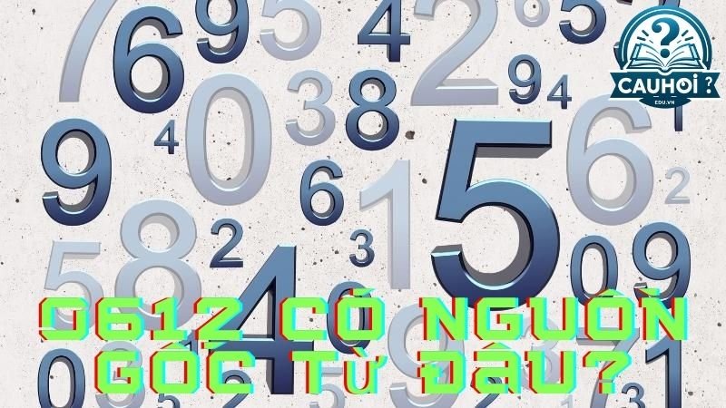 0612 có nguồn gốc từ đâu?