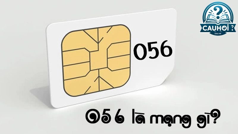 Sim đuôi 0563 có ý nghĩa gì?