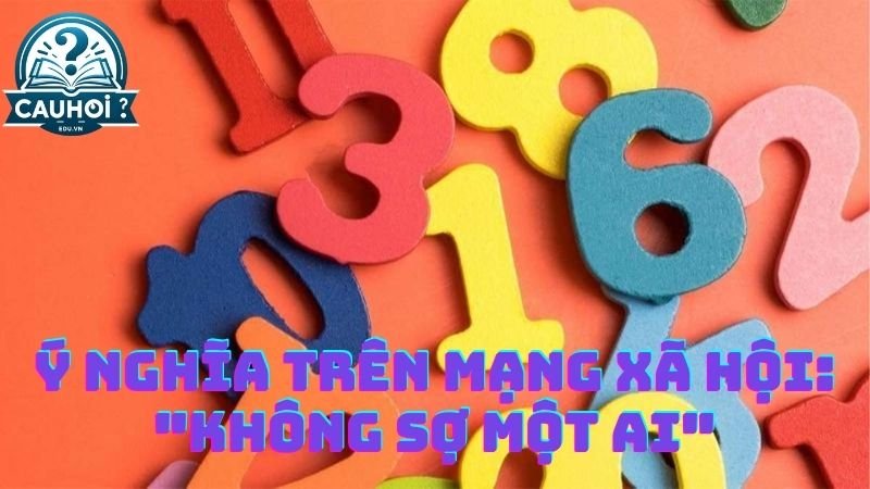 Ý nghĩa trên mạng xã hội: "Không sợ một ai"