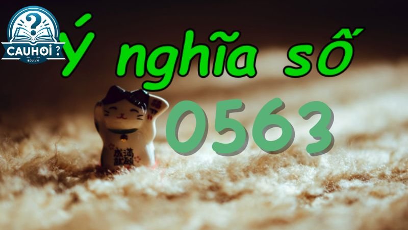 Ý nghĩa đuôi số 0563 theo quan niệm dân gian