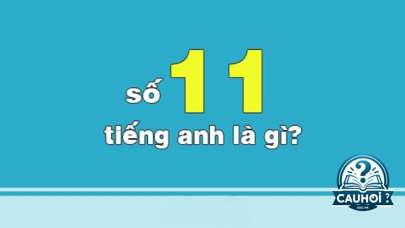 Tìm hiểu thêm về số 11