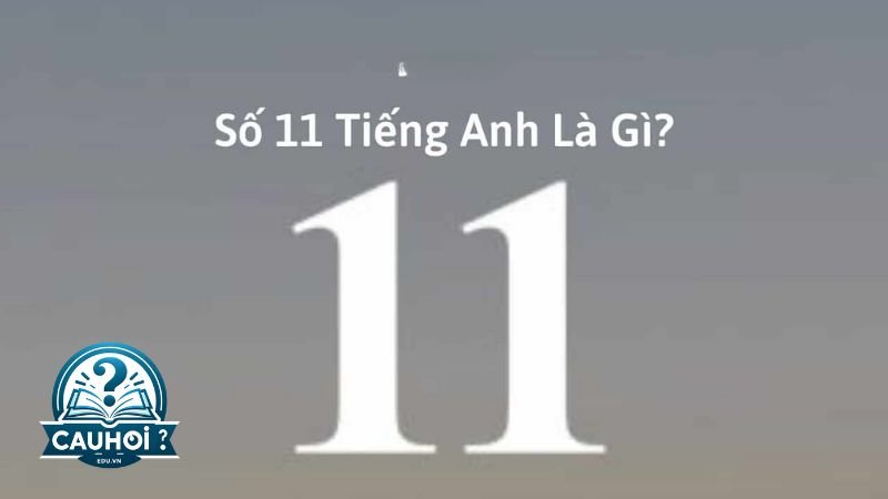 Giới thiệu về số 11 trong tiếng anh 