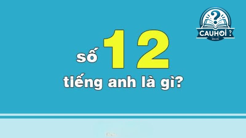 Số 12 tiếng anh là gì