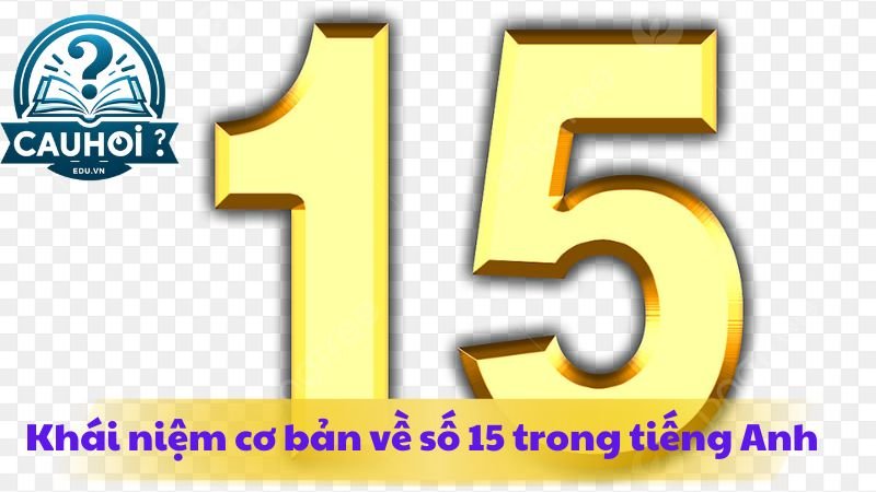 15-trong-tieng-anh-la-gi-1