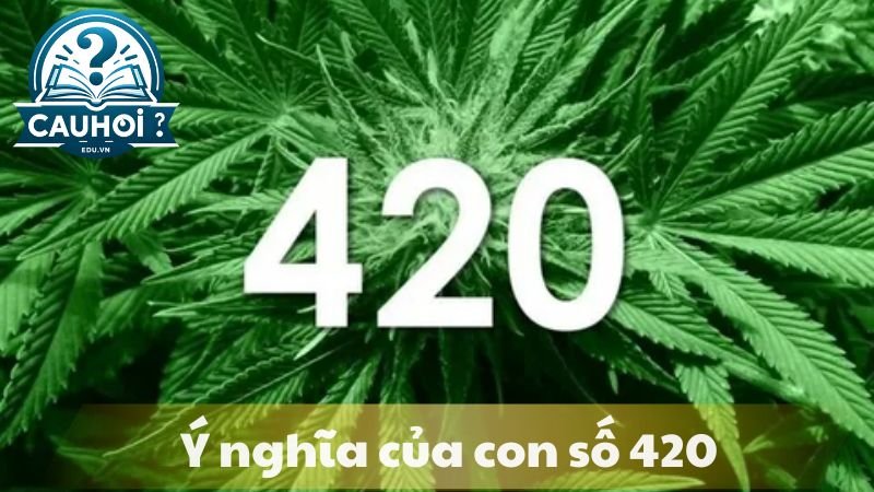 420-la-gi-2