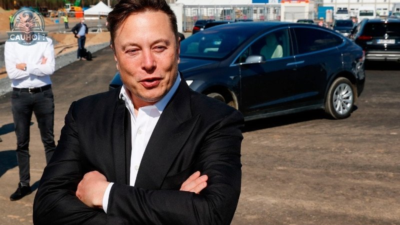 Tiểu sử Elon Musk 