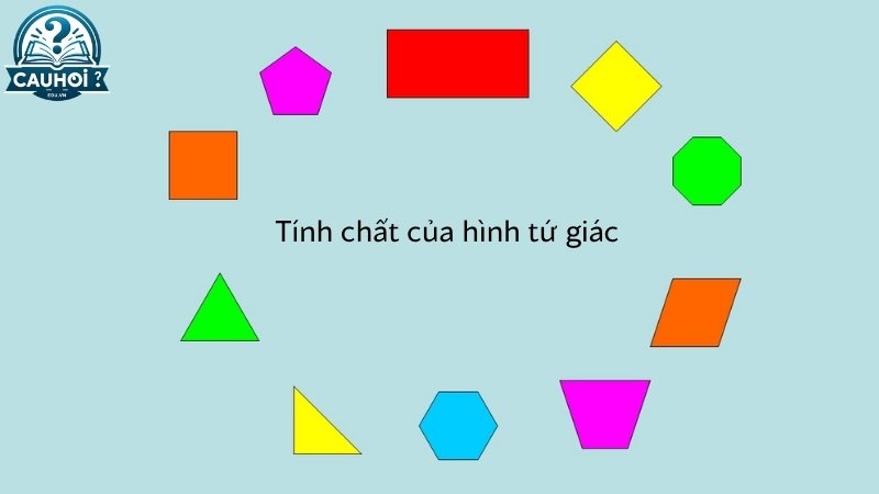 Tính chất của hình tứ giác