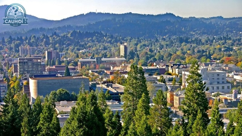 Các điểm đến nổi bật ở oregon
