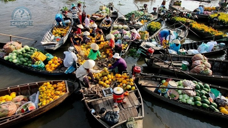 Ý nghĩa của việc tìm hiểu quê hương Võ Văn Thưởng