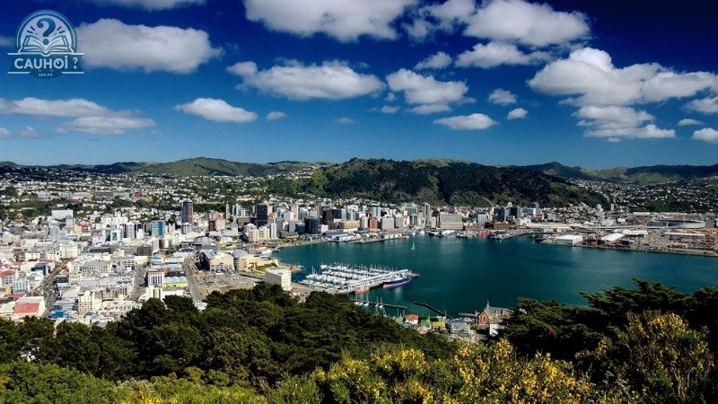 Vị trí địa lý của Wellington