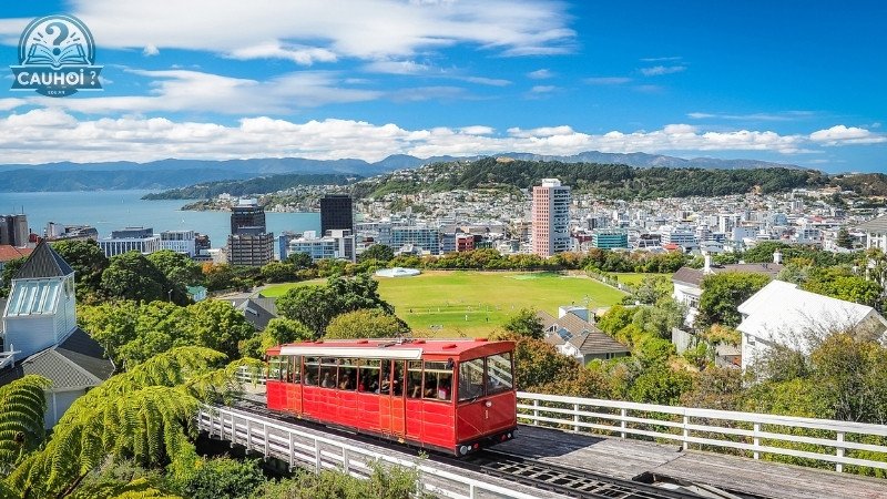 Cách di chuyển đến Wellington