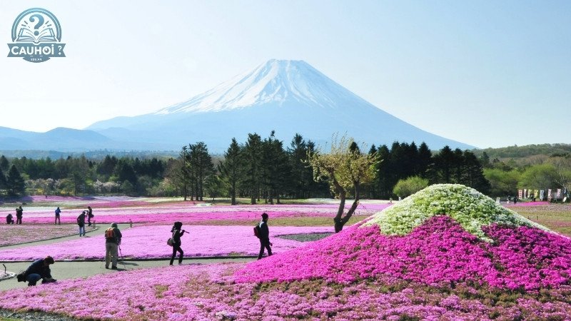 Giới thiệu những điểm tham quan nổi tiếng tại Yamanashi