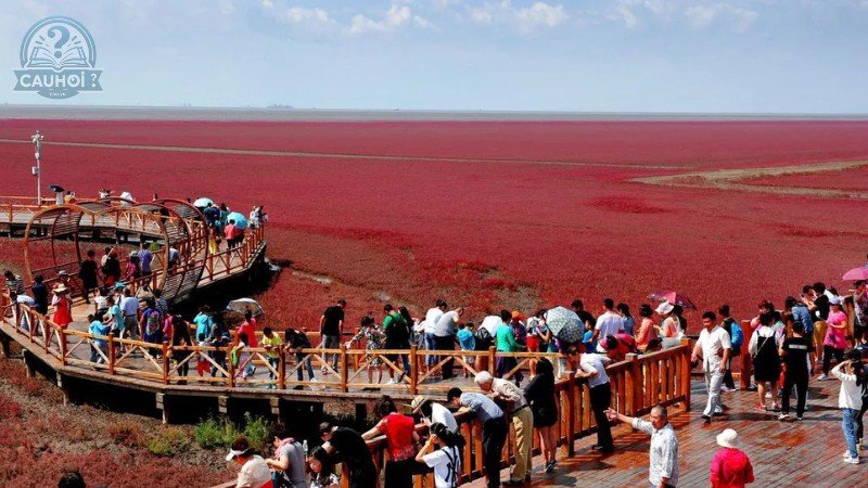 Nguyên nhân và lịch sử của tên gọi "Biển Đỏ"