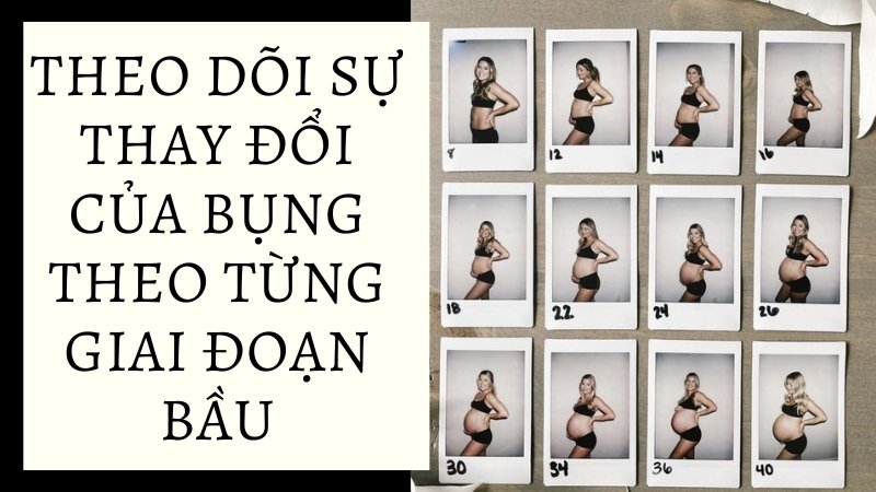 Theo dõi sự thay đổi của bụng theo từng giai đoạn