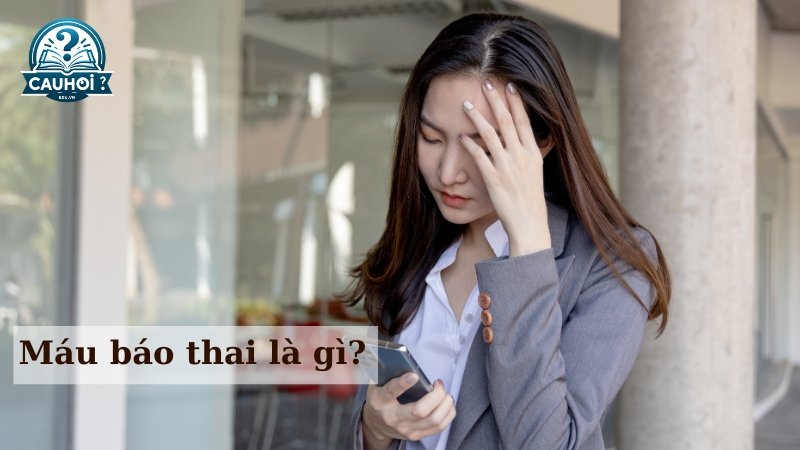 Máu báo thai là gì?