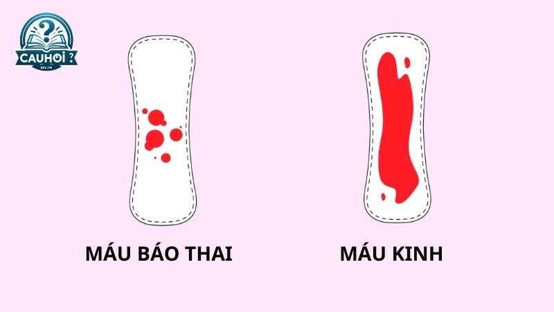 Phân biệt máu báo thai và máu kinh