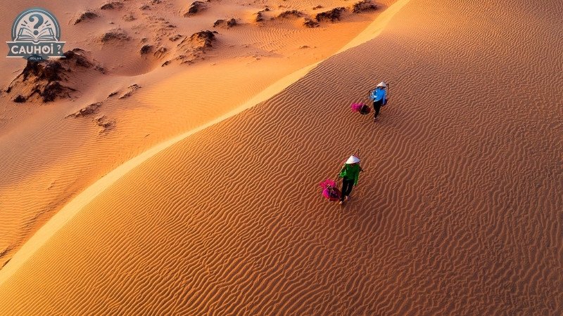 Khám phá các địa điểm nổi tiếng ở Mũi Né