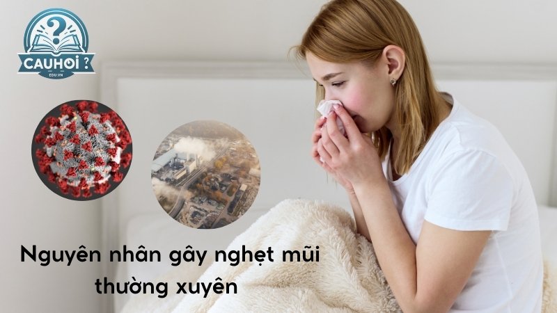 nguyên nhân gây nghẹt mũi
