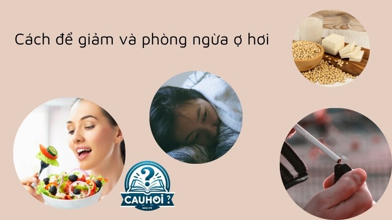 Cách để giảm và phòng ngừa ợ hơi