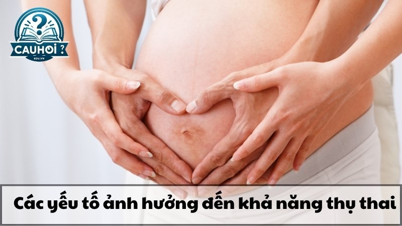 Các yếu tố ảnh hưởng đến khả năng thụ thai