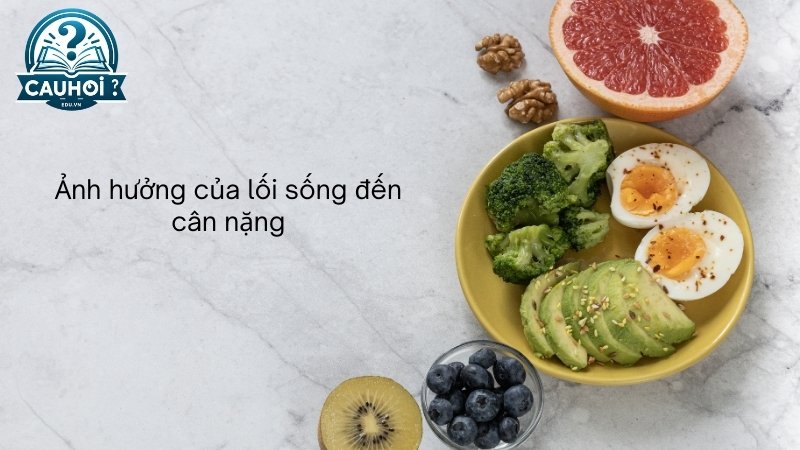 Ảnh hưởng của lối sống đến cân nặng