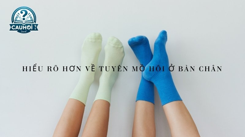 Hiểu rõ hơn về tuyến mồ hôi ở bàn chân