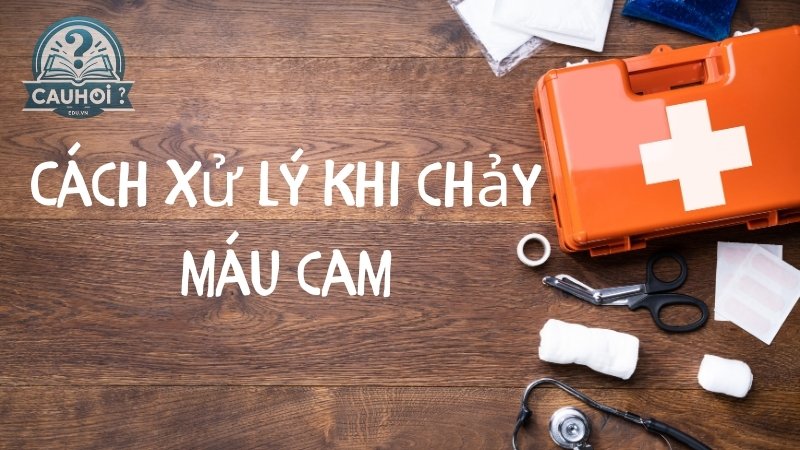 Cách xử lý khi chảy máu cam