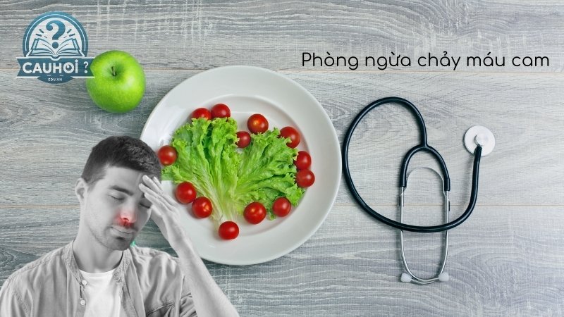 Phòng ngừa chảy máu cam