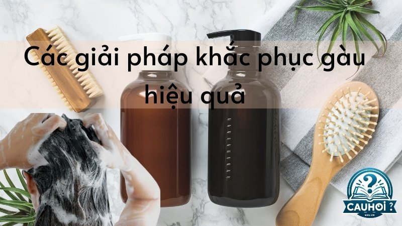 Phương pháp điều trị gàu từ thiên nhiên