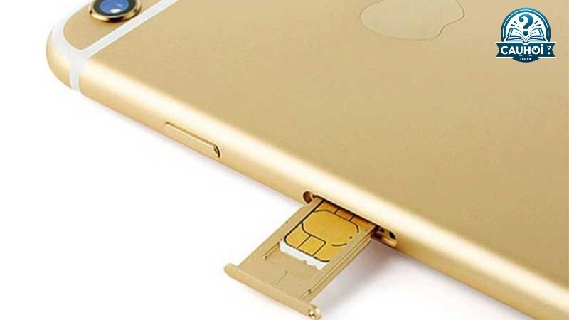 Cách phòng ngừa iphone không nhận sim