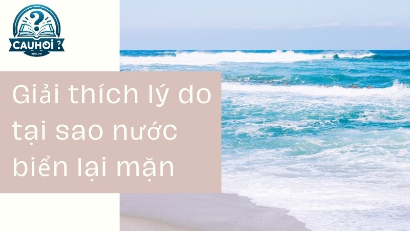 Giải thích lý do tại sao nước biển lại mặn