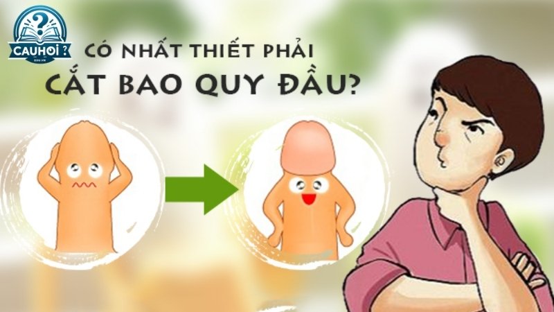 Lý do chính yếu để cắt bao quy đầu